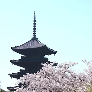 Sakura 椿 京都